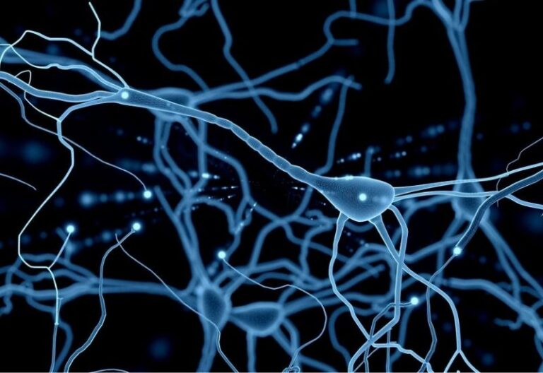 bộ não người có bao nhiêu tế bào thần kinh