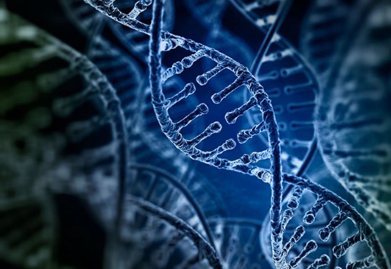 gen làm chậm quá trình lão hoá