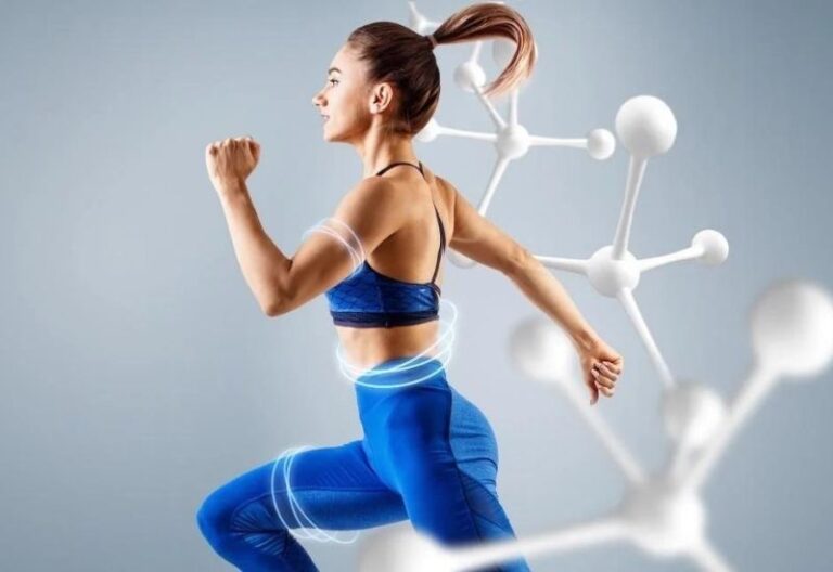 l carnitine tăng năng lượng