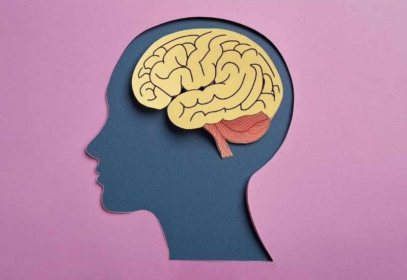 nguyên nhân của thoái hóa não