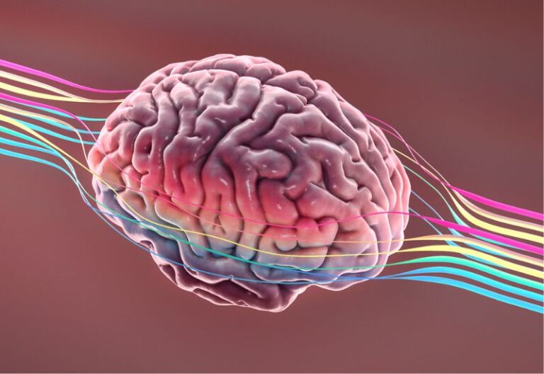 thoái hóa não triệu chứng