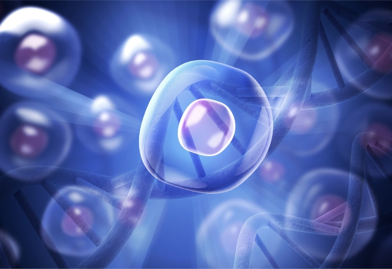 atp được sử dụng trong tế bào năng lượng