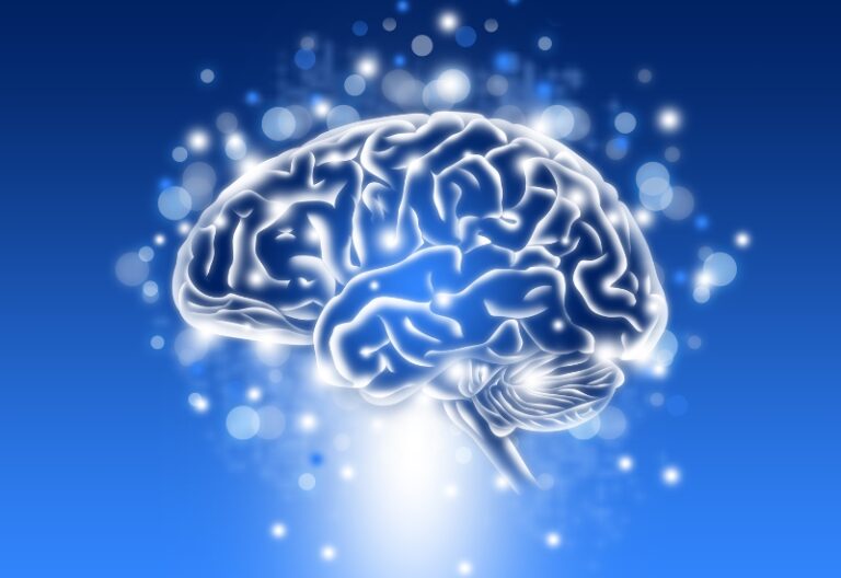 chống lão hóa não