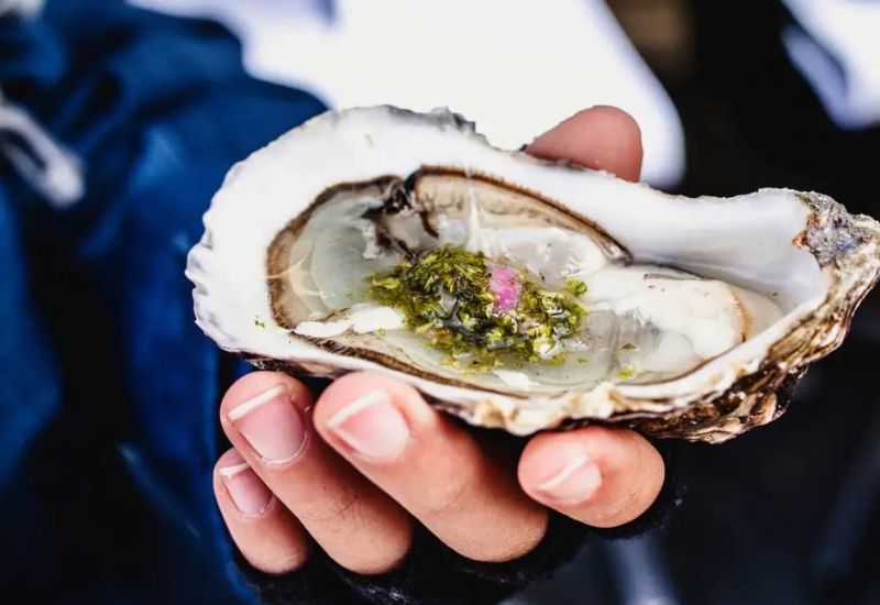 dinh dưỡng trong hàu