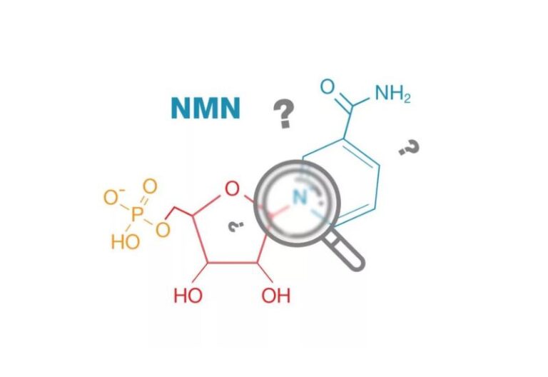 đối tượng sử dụng NMN