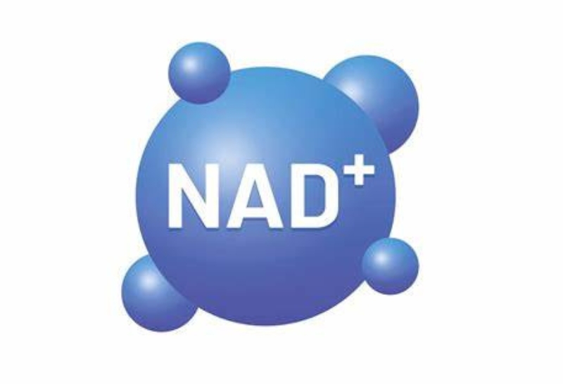 mức nad+ trong cơ thể