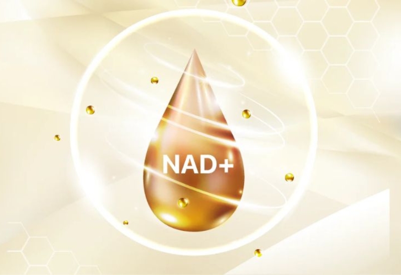 nad+ điều trị bệnh gì