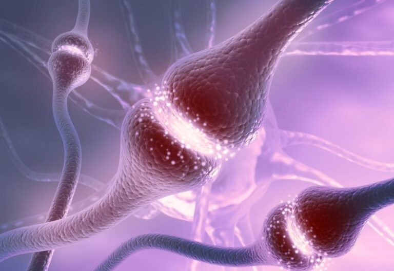 cách làm tăng chất dẫn truyền thần kinh