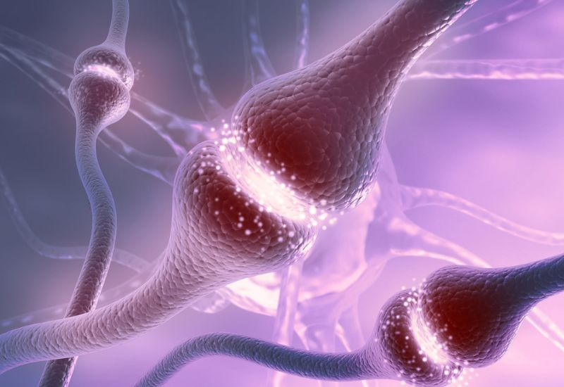 cách làm tăng chất dẫn truyền thần kinh