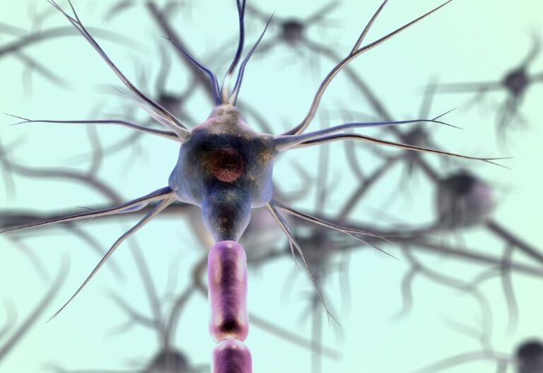 gamma aminobutyric acid là gì