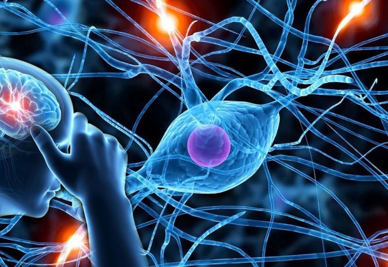 thoái hóa thần kinh là gì