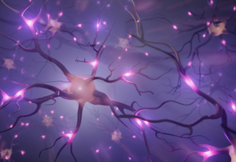 tốc độ dẫn truyền thần kinh